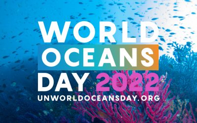 UN World Oceans Day & Opportunities for Innovation
