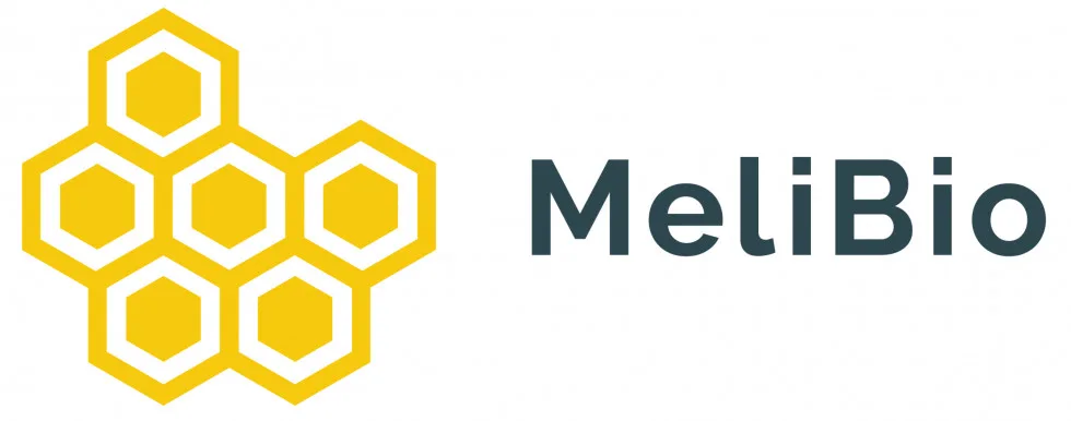 Modern MeliBio logo featuring honeycomb shapes, symbolizing sustainability and biotechnology innovation.